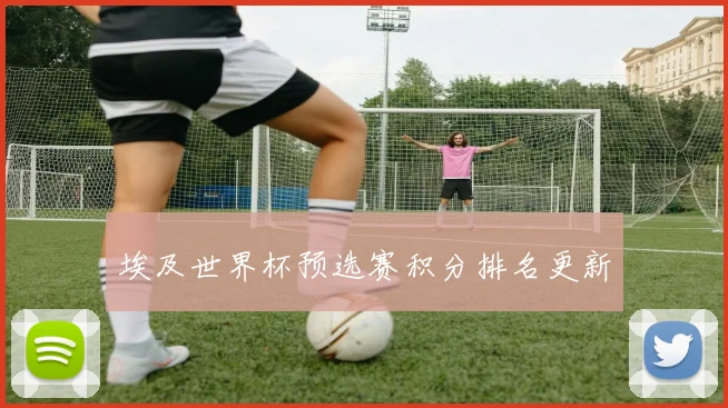 埃及世界杯预选赛积分排名更新