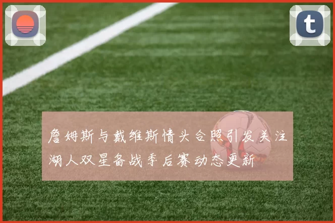 詹姆斯与戴维斯情头合照引发关注湖人双星备战季后赛动态更新